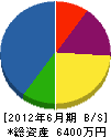 本田建設 貸借対照表 2012年6月期