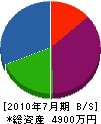 増田工業 貸借対照表 2010年7月期