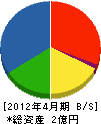 丸芳組 貸借対照表 2012年4月期