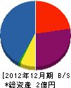 田島緑化工事 貸借対照表 2012年12月期