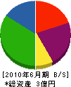長岡総合設備 貸借対照表 2010年6月期