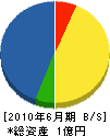 渡辺建設 貸借対照表 2010年6月期