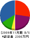 岡嶋工務店 貸借対照表 2009年11月期