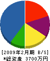 ホソカワ電気 貸借対照表 2009年2月期