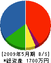 西村テレビ商会 貸借対照表 2009年5月期