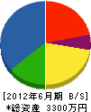 菅澤園 貸借対照表 2012年6月期