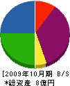 シーマ 貸借対照表 2009年10月期