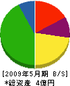 大丸松井商店 貸借対照表 2009年5月期