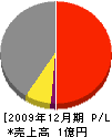 延澤組 損益計算書 2009年12月期