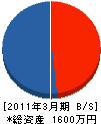 枝坂工業 貸借対照表 2011年3月期