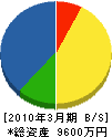 渡辺重機 貸借対照表 2010年3月期