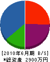 渡邉電気 貸借対照表 2010年6月期