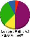 江村工設 貸借対照表 2010年6月期