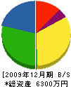 柴田土木 貸借対照表 2009年12月期