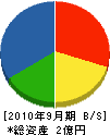 広田建設 貸借対照表 2010年9月期