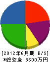 津軽さく泉工業 貸借対照表 2012年6月期
