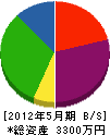 木村電設 貸借対照表 2012年5月期