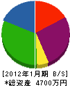 桂川建工 貸借対照表 2012年1月期