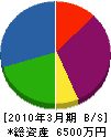 ヨコヤマコーポレーション 貸借対照表 2010年3月期