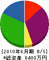 永井電機 貸借対照表 2010年6月期