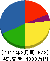 西川畳産業 貸借対照表 2011年8月期
