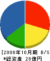 内藤電機 貸借対照表 2008年10月期