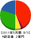 榊枝建材 貸借対照表 2011年5月期
