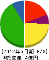 大丸松井商店 貸借対照表 2012年5月期