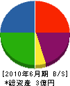 牟田商会 貸借対照表 2010年6月期