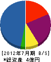 長崎建創 貸借対照表 2012年7月期