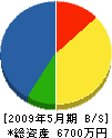 松永建設 貸借対照表 2009年5月期
