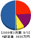 國見電気 貸借対照表 2009年3月期