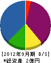 湘南ビルド 貸借対照表 2012年9月期