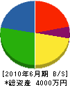 岩崎建設 貸借対照表 2010年6月期