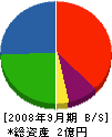 エヌケーシステム 貸借対照表 2008年9月期