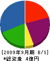 岡崎グリーン 貸借対照表 2009年9月期