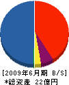 亀井工業 貸借対照表 2009年6月期