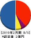 三陽 貸借対照表 2010年2月期
