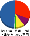 松電工 貸借対照表 2012年3月期