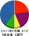 川村建設工業 貸借対照表 2011年6月期