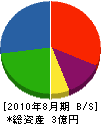 渡辺組 貸借対照表 2010年8月期