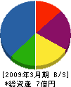 横浜塗装工業 貸借対照表 2009年3月期