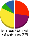 日本造園研究所 貸借対照表 2011年6月期