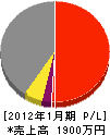 斎木電気工業 損益計算書 2012年1月期