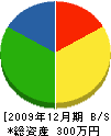 斉須塗装 貸借対照表 2009年12月期