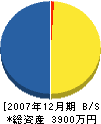 竹中組 貸借対照表 2007年12月期