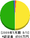 宮川工業 貸借対照表 2009年5月期