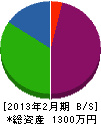 佐野電気商会 貸借対照表 2013年2月期