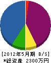 山栄電工 貸借対照表 2012年5月期