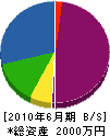 山田建巧 貸借対照表 2010年6月期